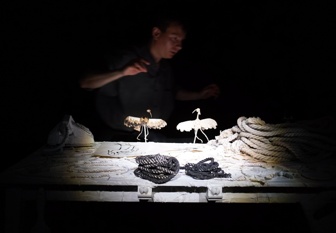 кукольное соло «Журавль и цапля» кукольное соло «Журавль и цапля»